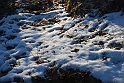 S. Damiano d'Asti - Ultima neve e brina_017
